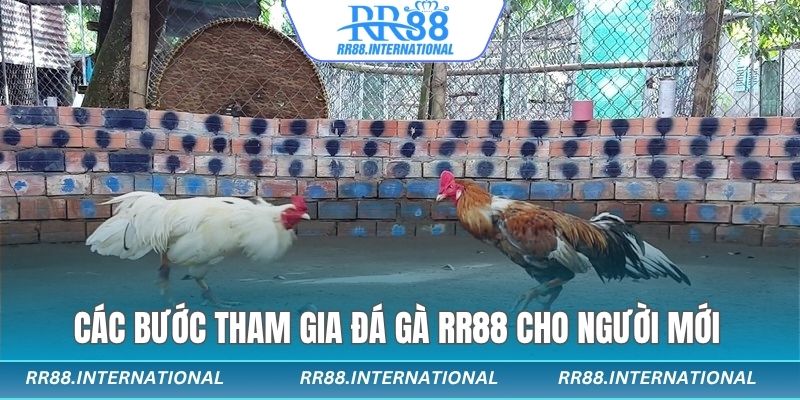 Các bước tham gia cho người mới 