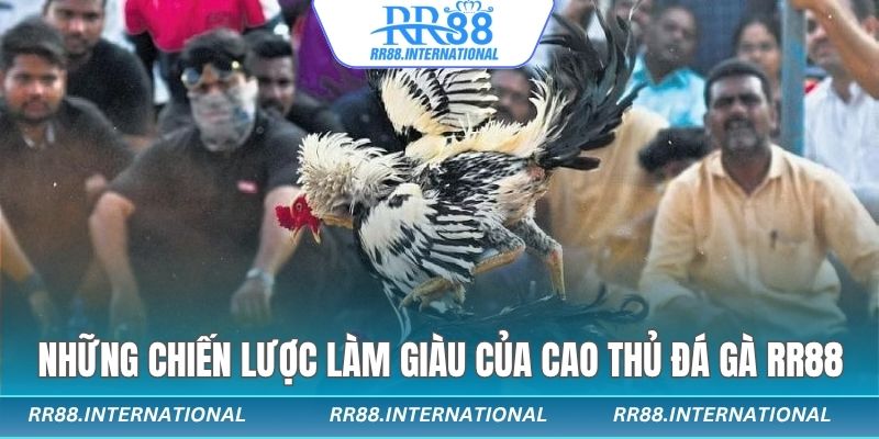 Những chiến lược làm giàu của cao thủ