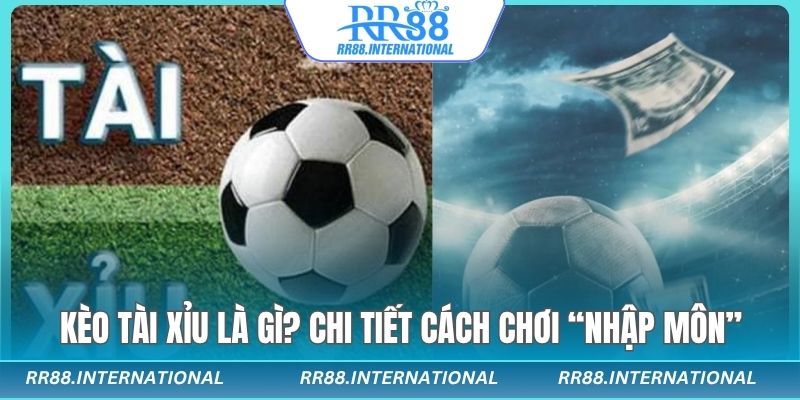 Kèo tài xỉu chi tiết đến từng lỗ chân lông