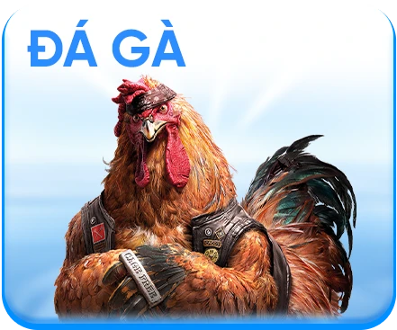 icon đá gà rr88